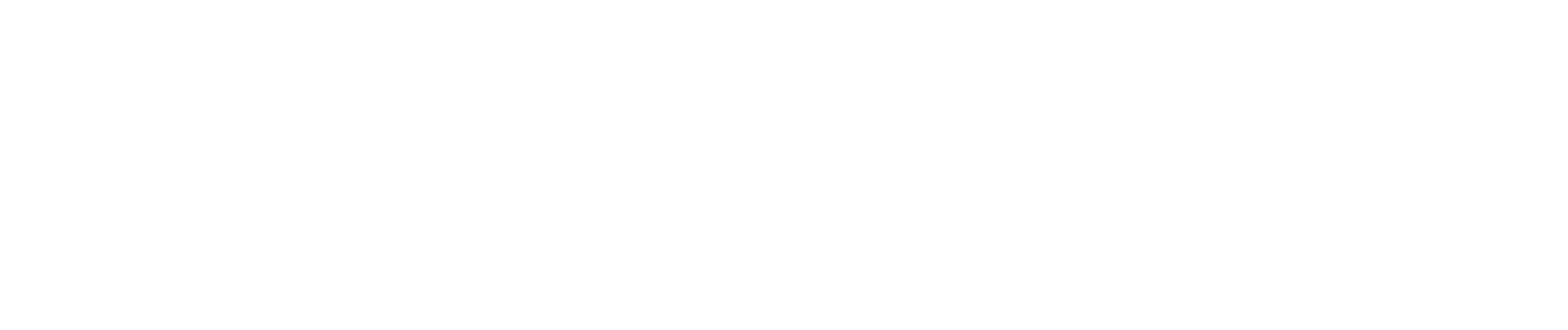 Styline Logo